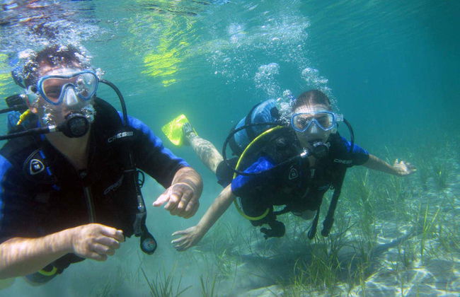 Bautismo de buceo en Nea Makri - Foto 6